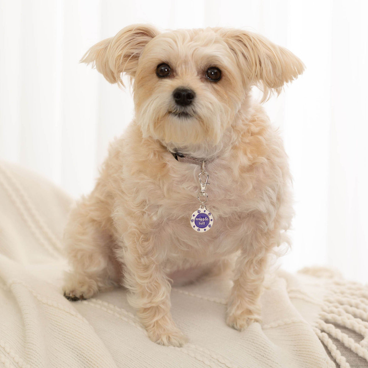Wiggle Butt Dog Tag – Funny Engraved Pet ID Tag